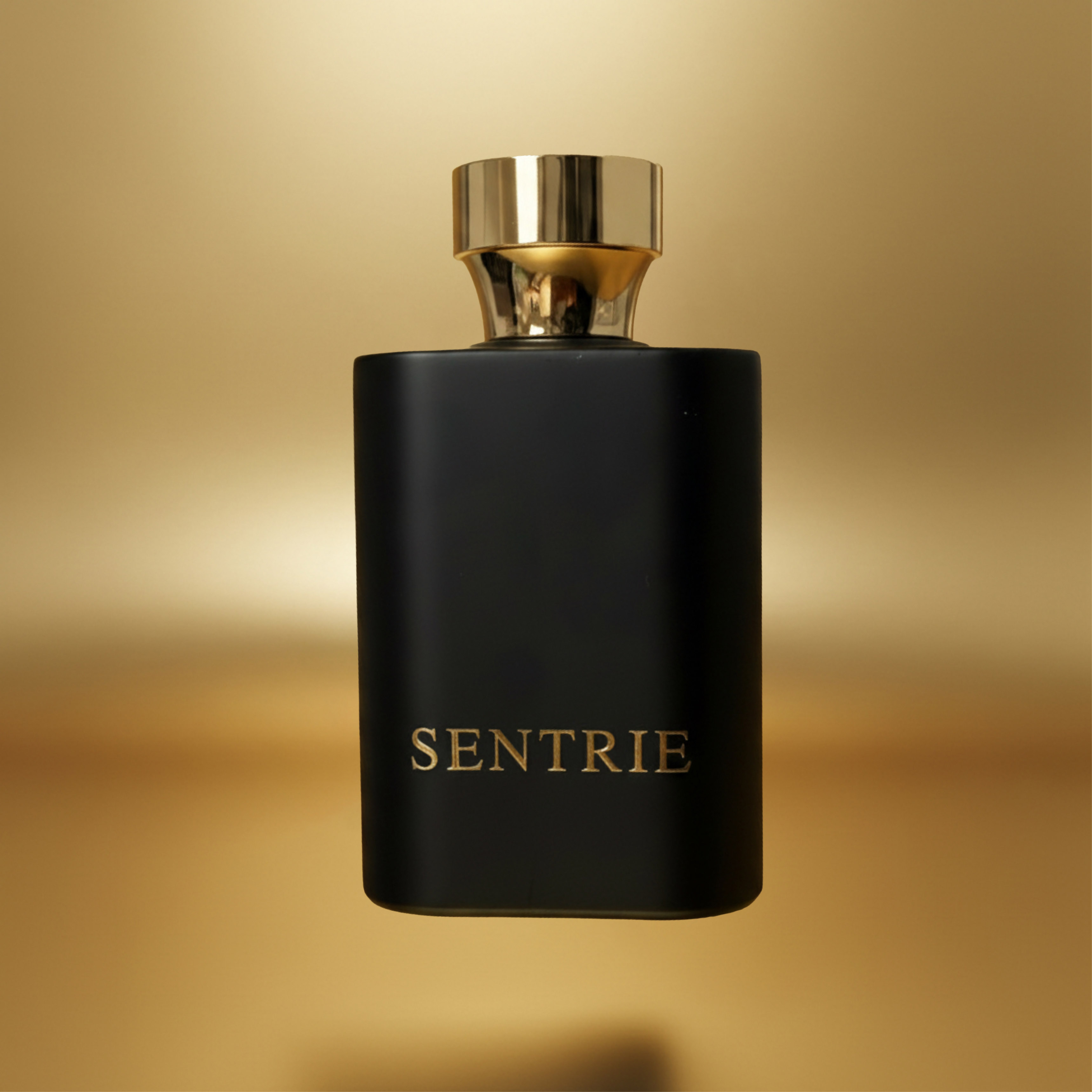 Why Choose Sentrie